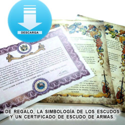 Heráldica de 1 apellido en formato digital
